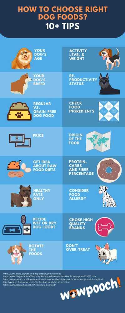 How to Choose The Right Food For Your Dog (18 Super Tips)