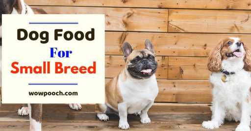 Dog Food Brands For Small Breeds: Dry & Canned