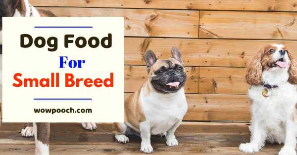 Top 10 Best Dog Food For Small Dogs: 2021 Reviews For Small Breeds