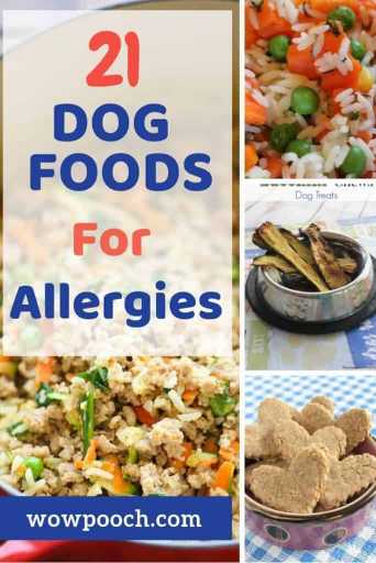 Dog Food Recipes For Allergies