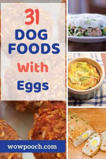 Dog Food Recipes With Eggs