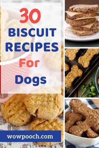 Biscuits For Dogs