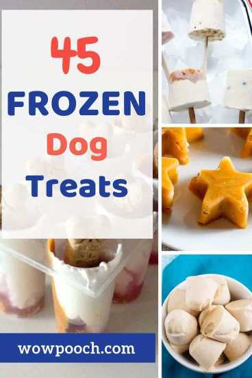 45 Frozen Dog Food