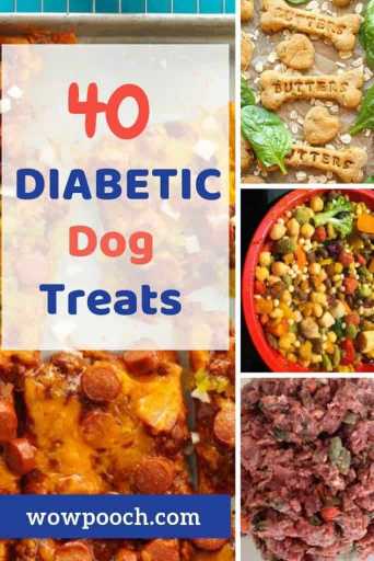 Diabetic Dog Treats You Can Easily Make