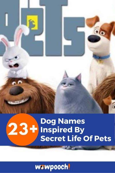 Dog Names From The Secret Life of Pets
