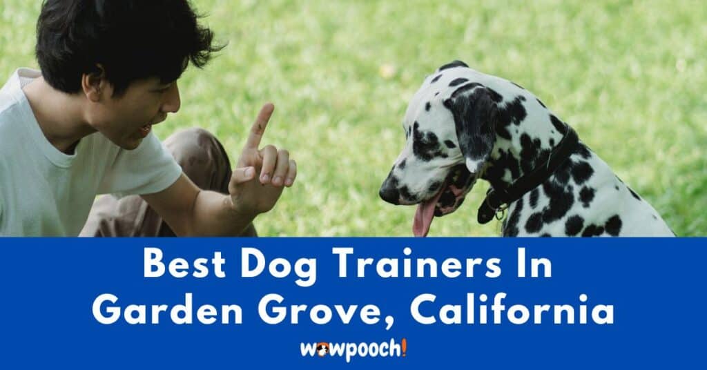 Best Dog Trainers Near Garden Grove In California (CA) State