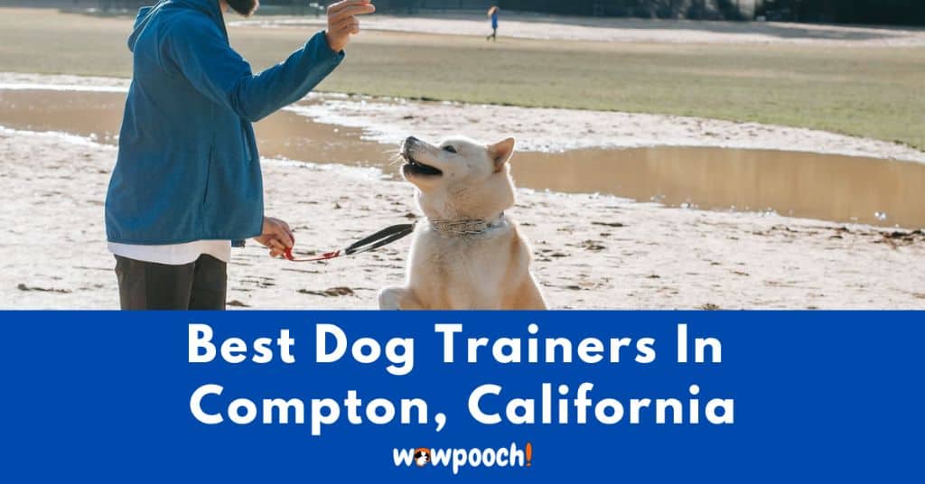 Best Dog Trainers Near Compton In California (CA) State
